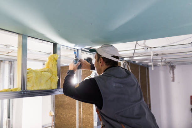 Best Fiberglass Insulation  in Seven Fields, PA